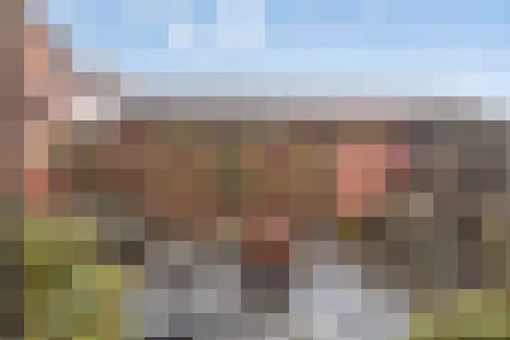 Bobeldijk 47 Berkhout thumbnail 63