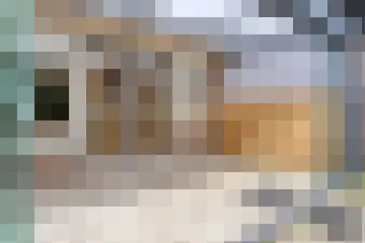 Bobeldijk 63 Berkhout thumbnail 15