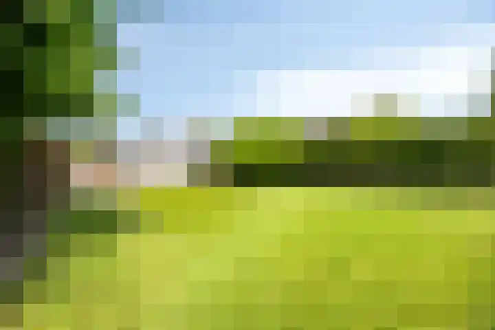 Bobeldijk 63 Berkhout thumbnail 26