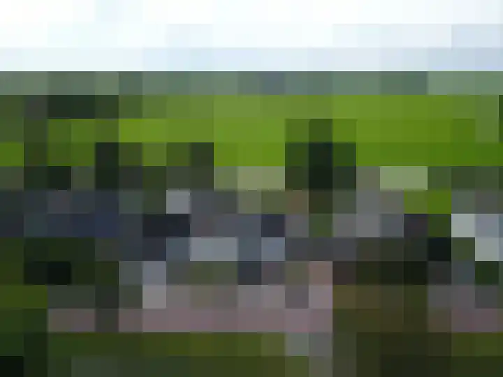 Bobeldijk 63 Berkhout thumbnail 29