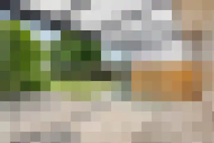 Bobeldijk 63 Berkhout thumbnail 4