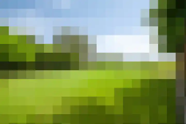 Bobeldijk 63 Berkhout thumbnail 5