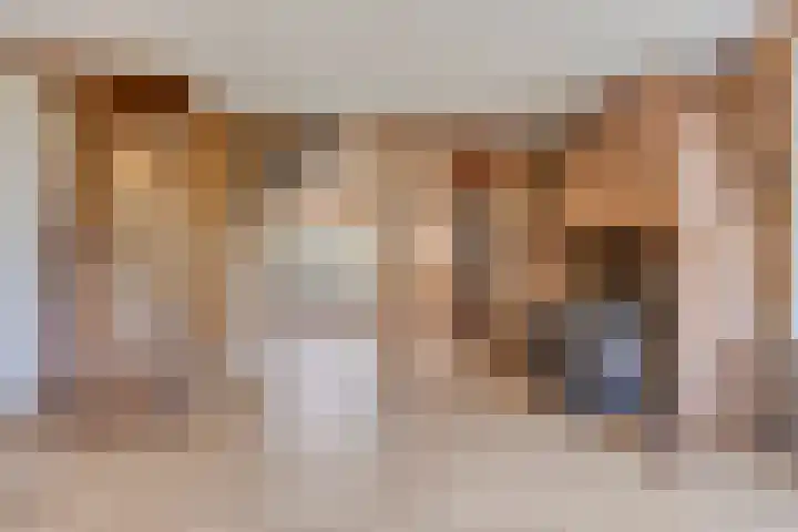 Bobeldijk 63 Berkhout thumbnail 9