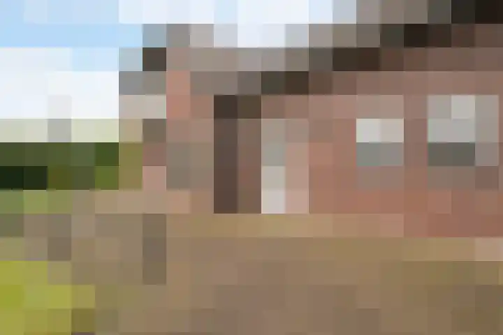 Bocholterweg 19 Weert thumbnail 33
