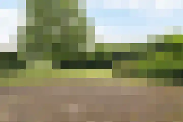Bocholterweg 19 Weert thumbnail 35