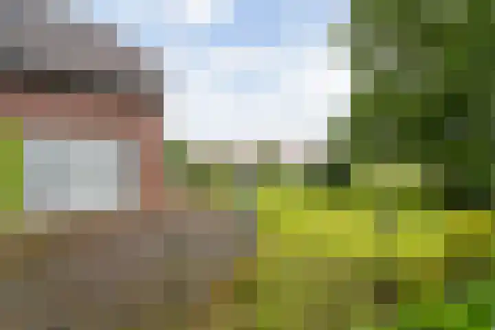 Bocholterweg 19 Weert thumbnail 36