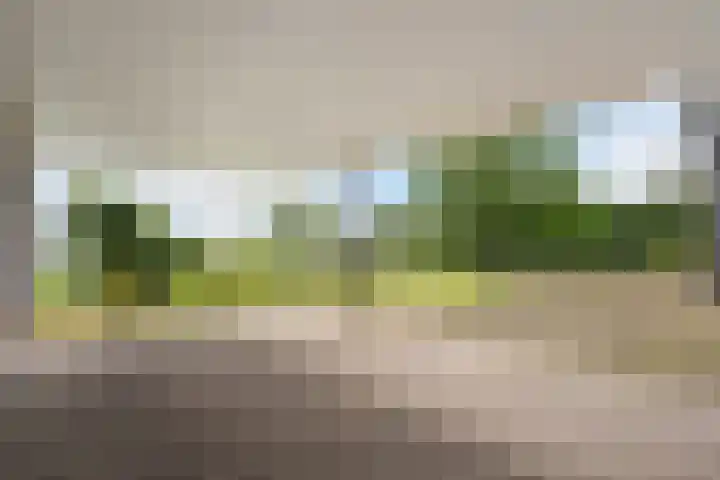 Bocholterweg 19 Weert thumbnail 39