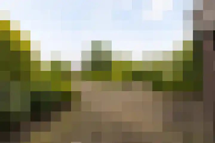 Bocholterweg 19 Weert thumbnail 42