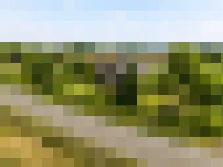 Bocholterweg 19 Weert thumbnail 7