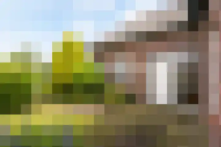 Bocholterweg 19 Weert thumbnail 9