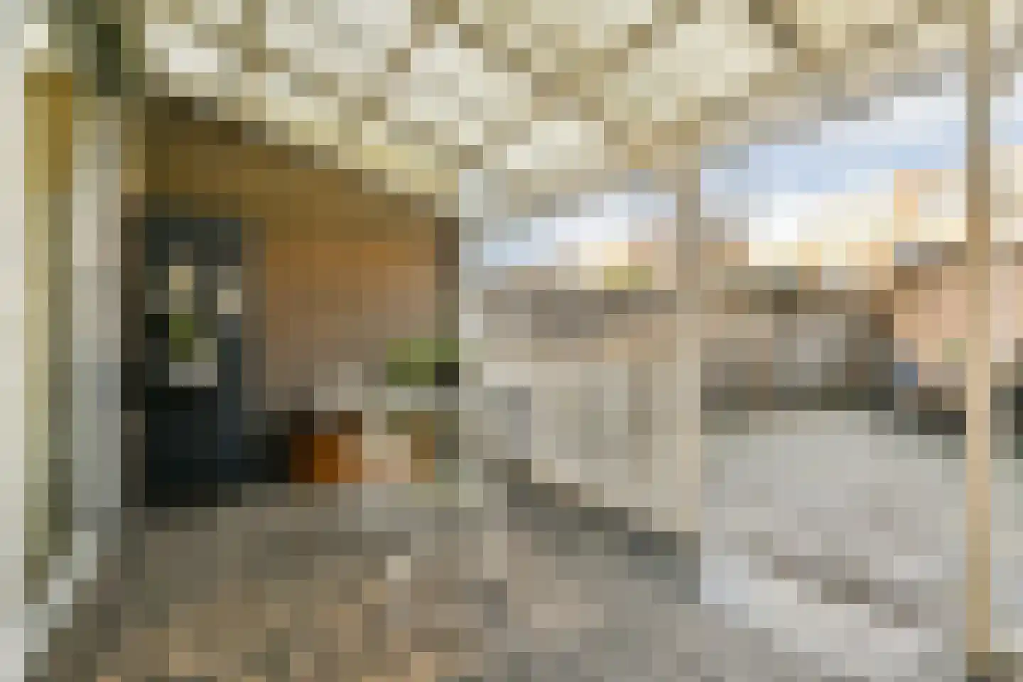 Bocholtstraat 28 Amsterdam thumbnail 13