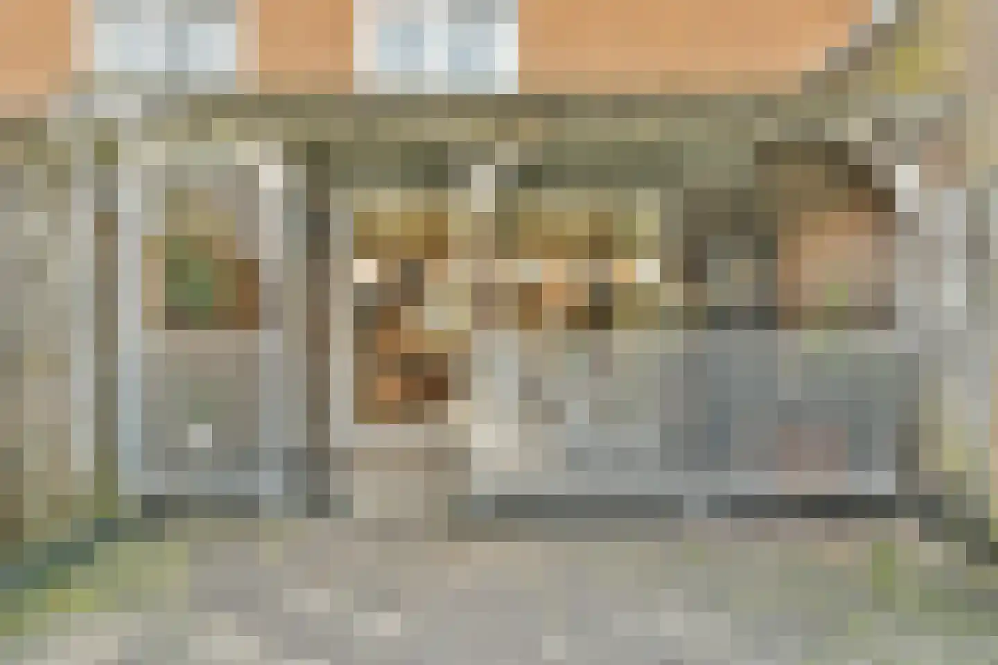 Bocholtstraat 28 Amsterdam thumbnail 14