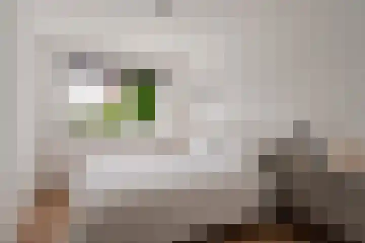 Bocholtstraat 80 Amsterdam thumbnail 19