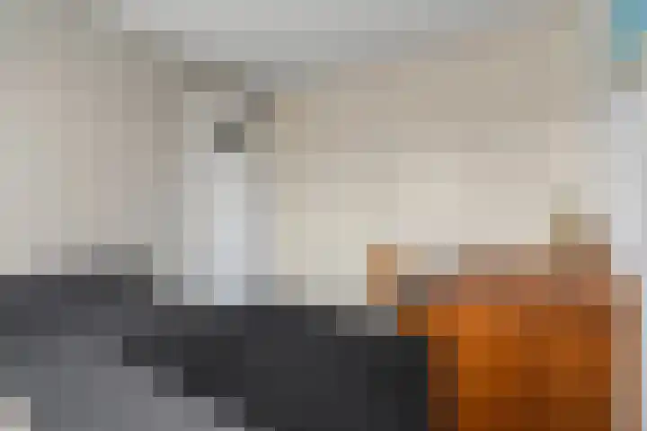 Bocht 4 Breda thumbnail 12