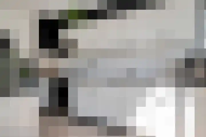 Bocht 4 Breda thumbnail 15
