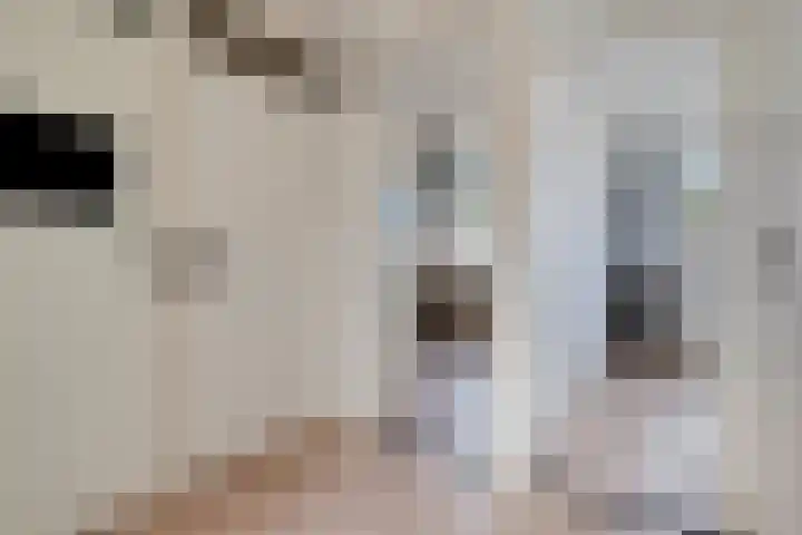 Bocht 4 Breda thumbnail 18