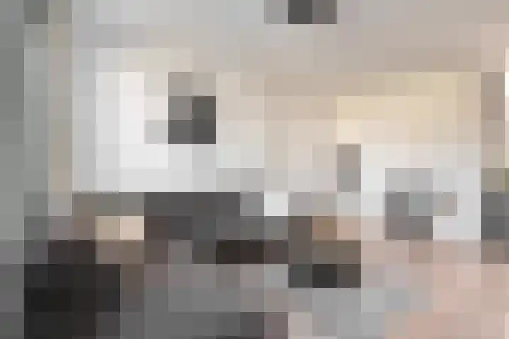 Bocht 4 Breda thumbnail 9