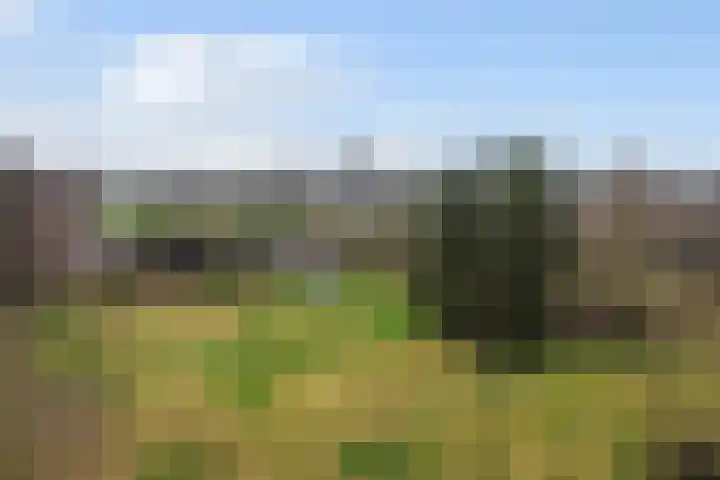 Bochtmoeren 5 Breda thumbnail 10