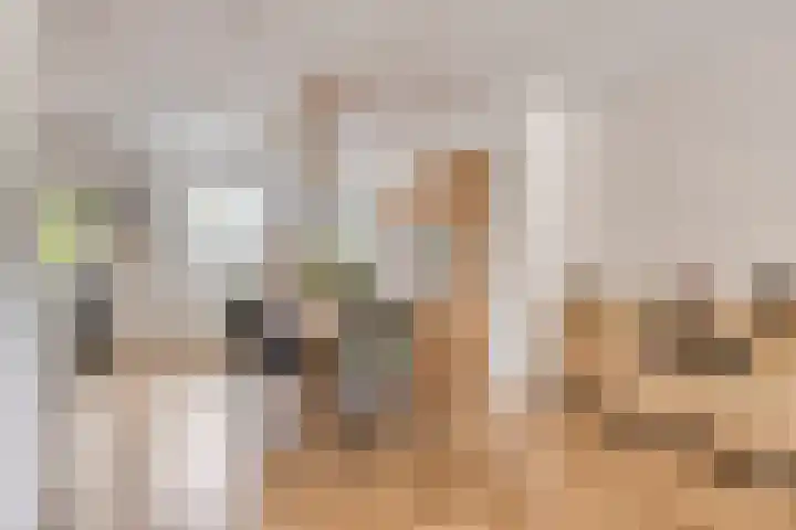 Bochtmoeren 5 Breda thumbnail 10