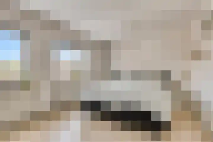 Bochtmoeren 5 Breda thumbnail 15