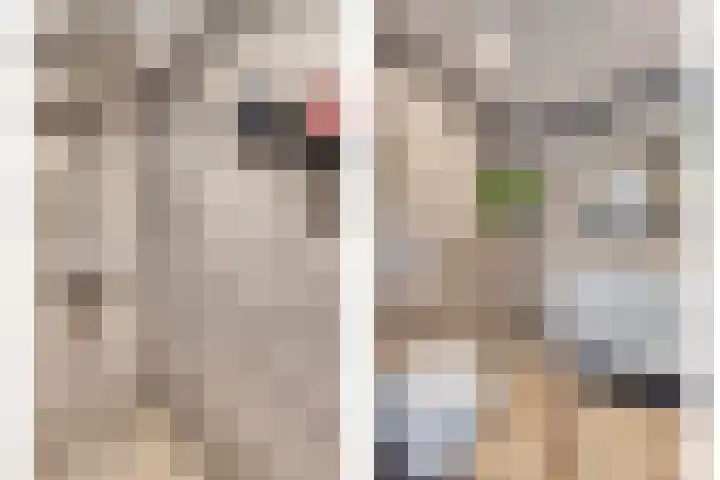 Bochtmoeren 5 Breda thumbnail 18