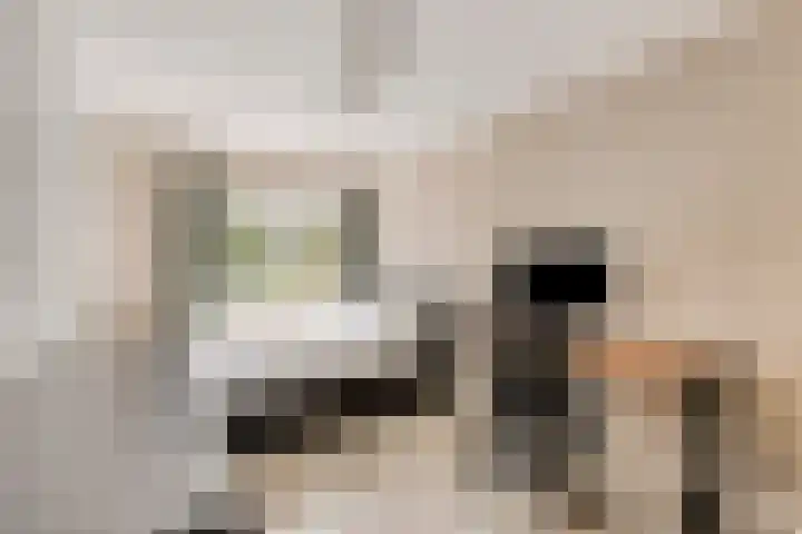 Bochtmoeren 5 Breda thumbnail 20