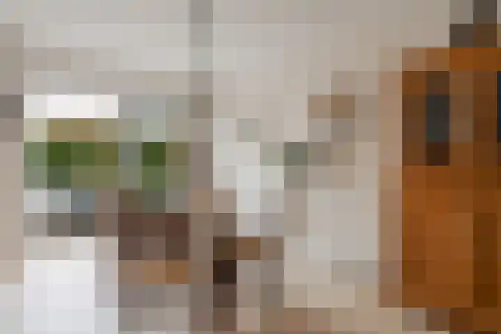 Bochtmoeren 5 Breda thumbnail 21