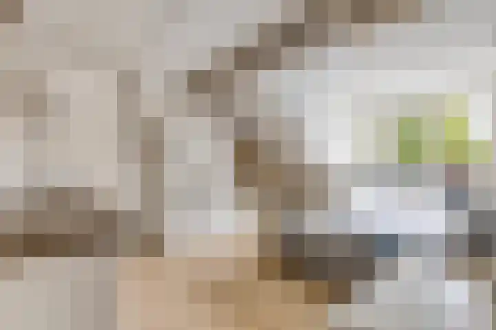 Bochtmoeren 5 Breda thumbnail 23