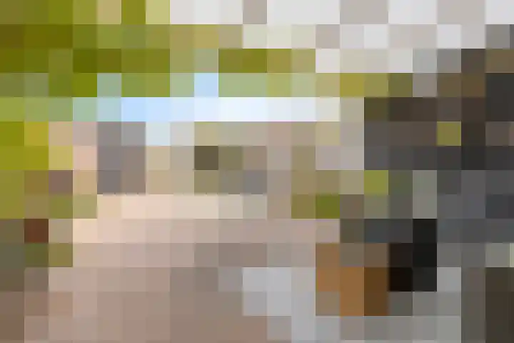 Bochtmoeren 5 Breda thumbnail 25