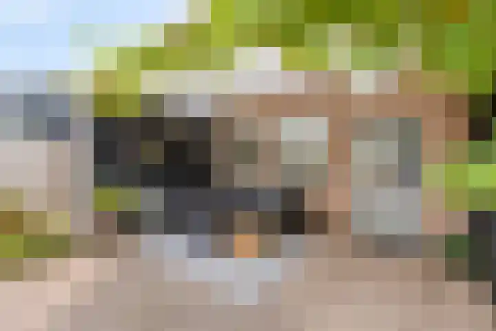 Bochtmoeren 5 Breda thumbnail 28