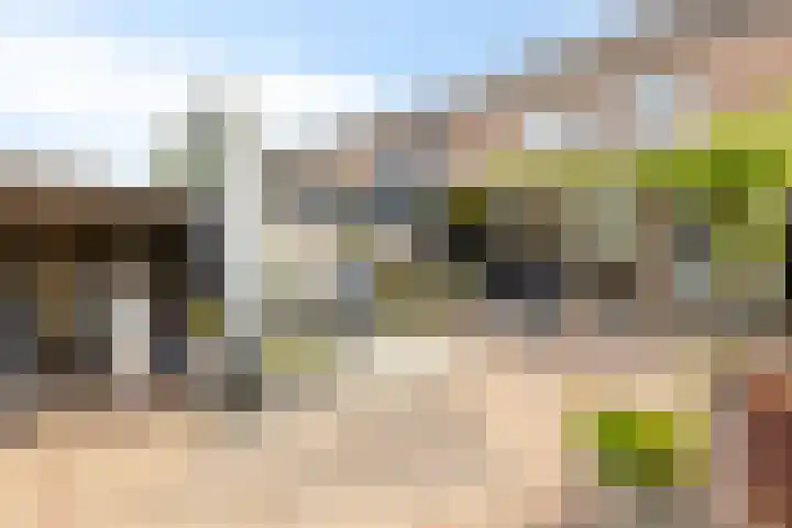 Bochtmoeren 5 Breda thumbnail 29