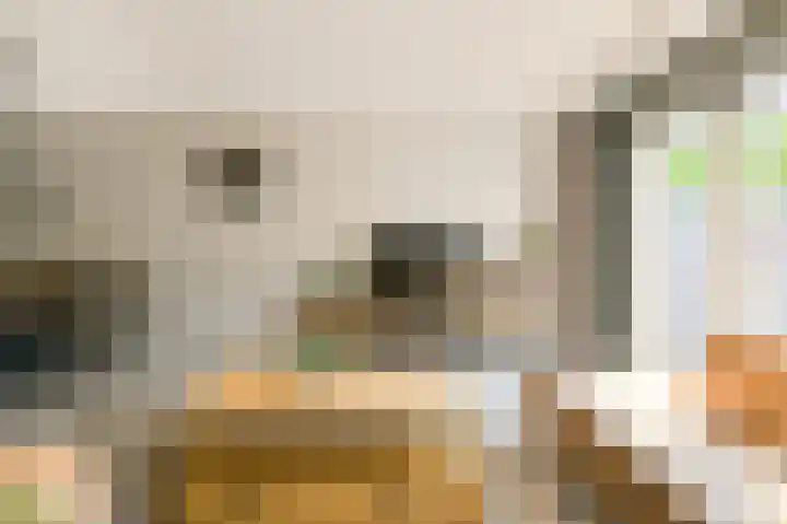 Bochtmoeren 5 Breda thumbnail 34
