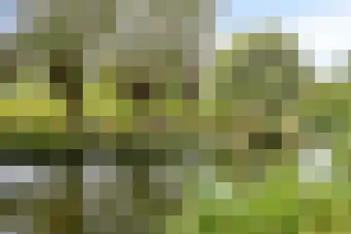 Bochtmoeren 5 Breda thumbnail 36
