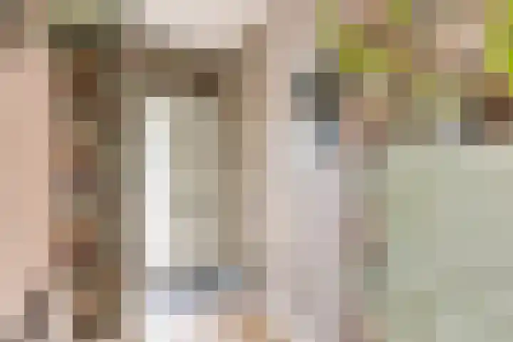 Bochtmoeren 5 Breda thumbnail 5