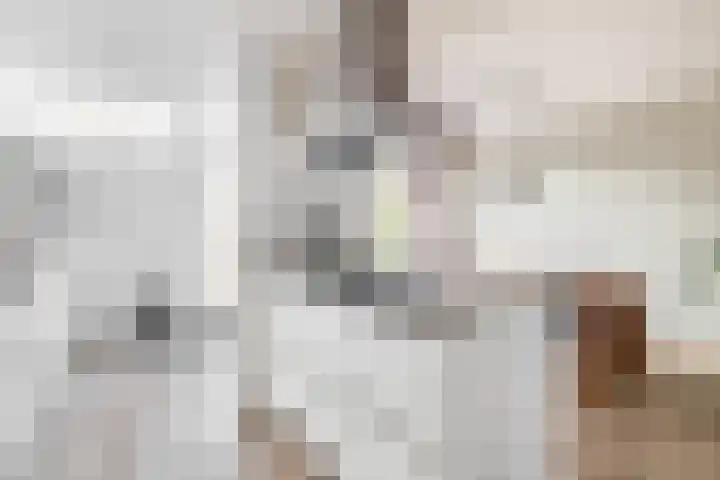 Bochtmoeren 5 Breda thumbnail 6