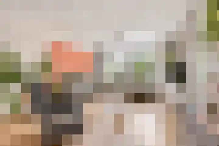 Bochtmoeren 5 Breda thumbnail 7