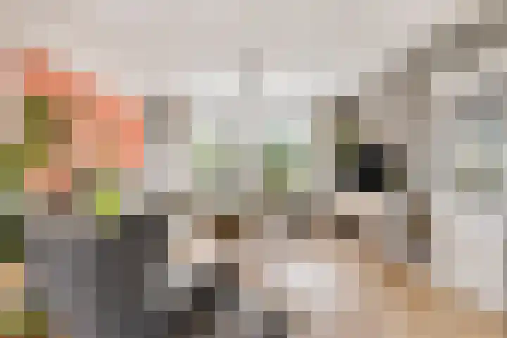 Bochtmoeren 5 Breda thumbnail 8