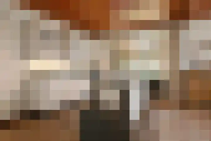 Bochtstraat 2 Ospel thumbnail 10
