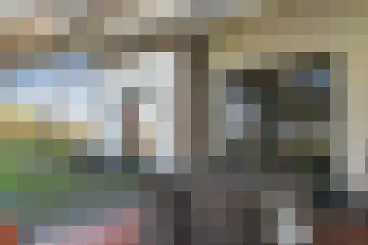 Bochtstraat 2 Ospel thumbnail 47