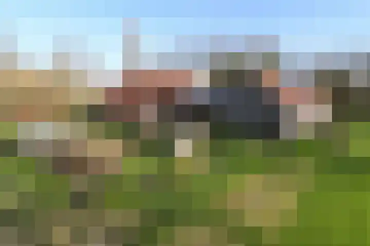 Bochtstraat 2 Ospel thumbnail 61