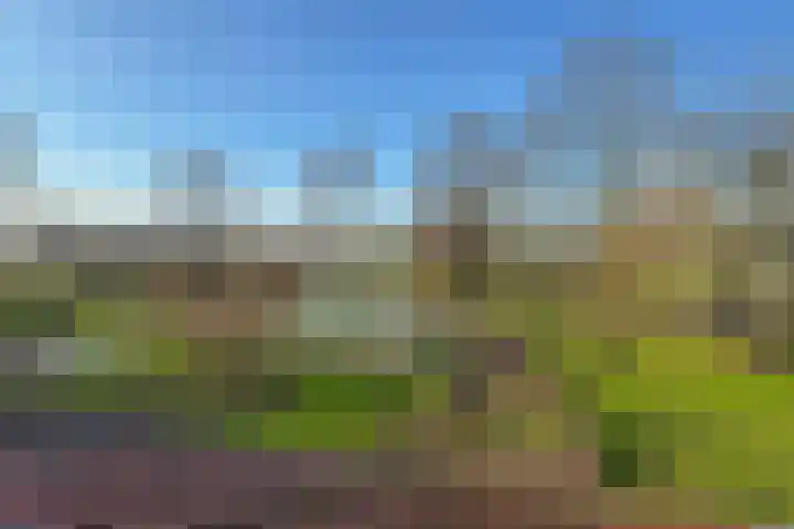 Bochtstraat 2 Ospel thumbnail 63