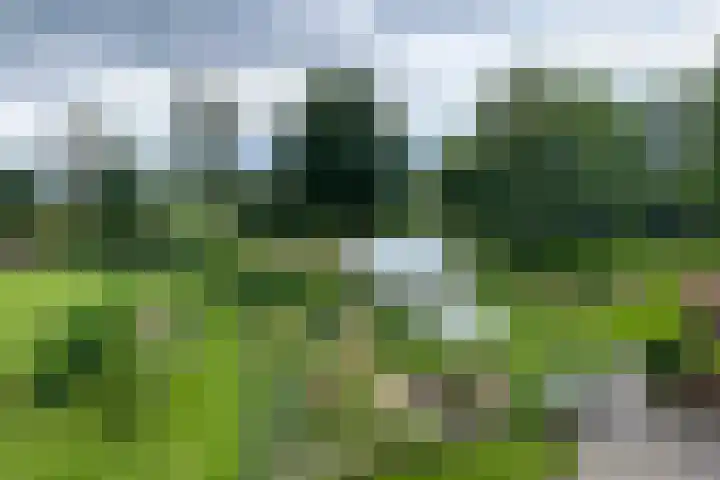 Bochtstraat 2 Ospel thumbnail 65