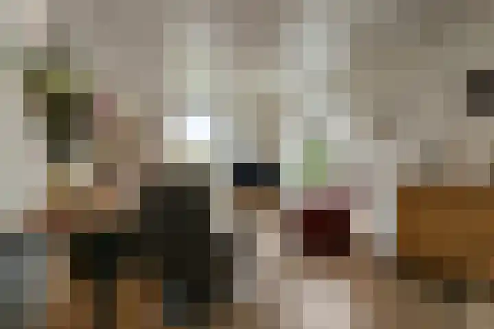 Bochtstraat 2 Ospel thumbnail 7