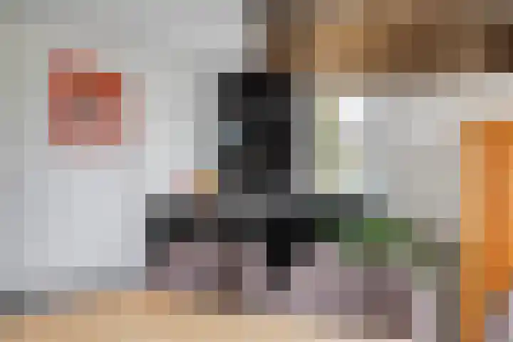 Bockendonk 38 Helmond thumbnail 15