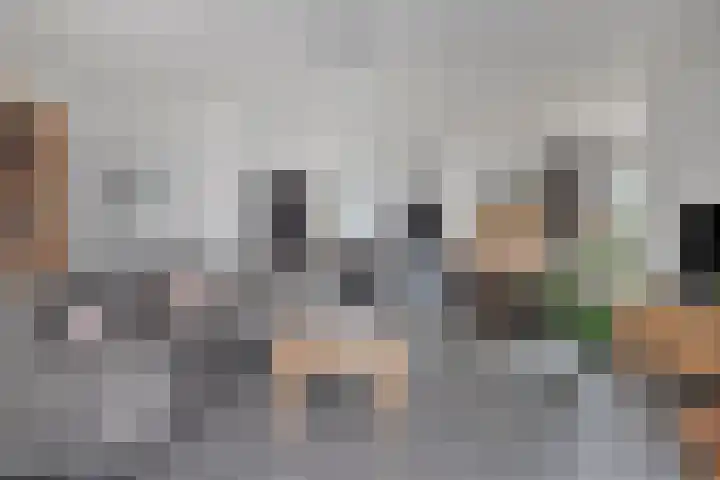 Bockendonk 38 Helmond thumbnail 22