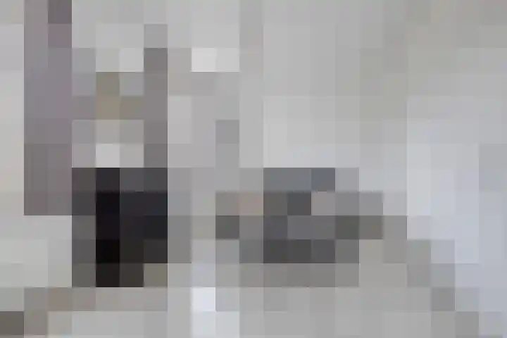 Bockendonk 38 Helmond thumbnail 26