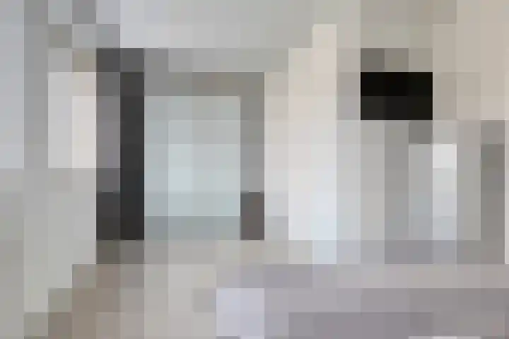 Bockendonk 38 Helmond thumbnail 29