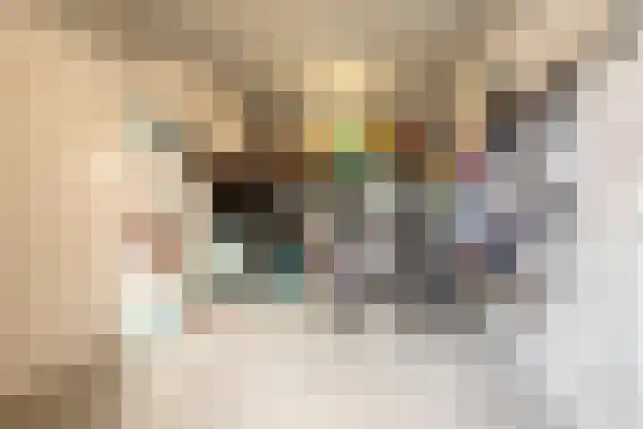 Bockendonk 38 Helmond thumbnail 39