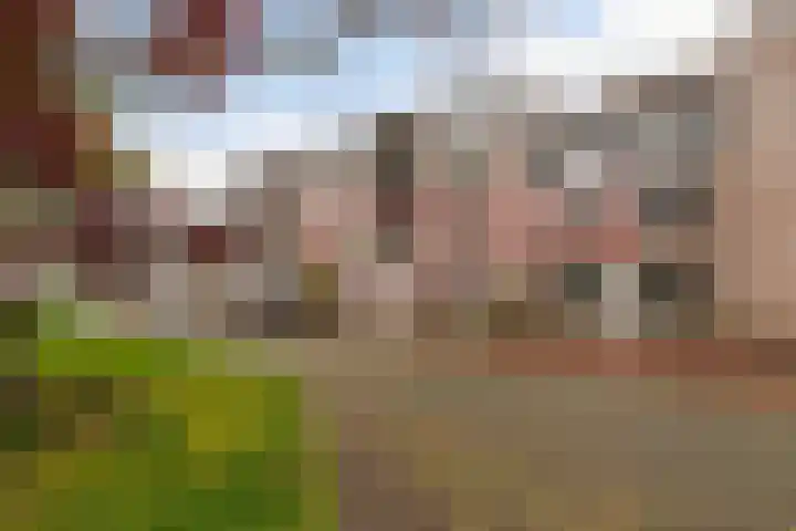 Bocstelstede 20 Boxtel thumbnail 4