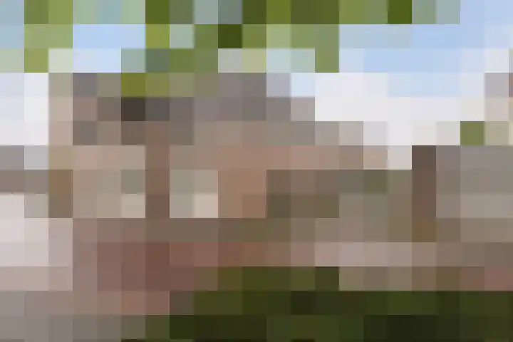 Bocstelstede 20 Boxtel thumbnail 53